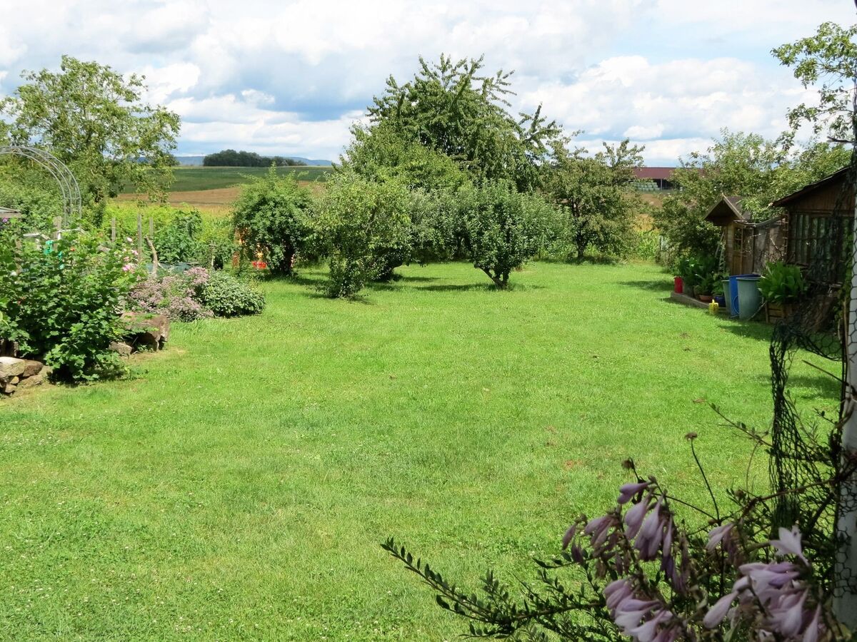 Appartement Maison Fleurie – grange rénovée à Schwabwiller - Photo 15