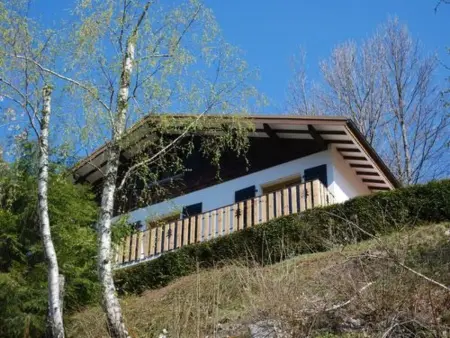 Chalet 15 pers, jacuzzi & sauna à La Bresse : photo 3
