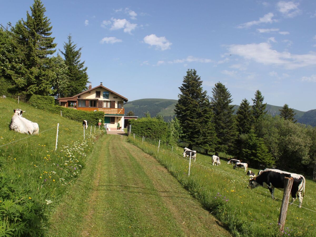 Maison 4 pers. Sondernach, vue vallée Munster - Photo 11