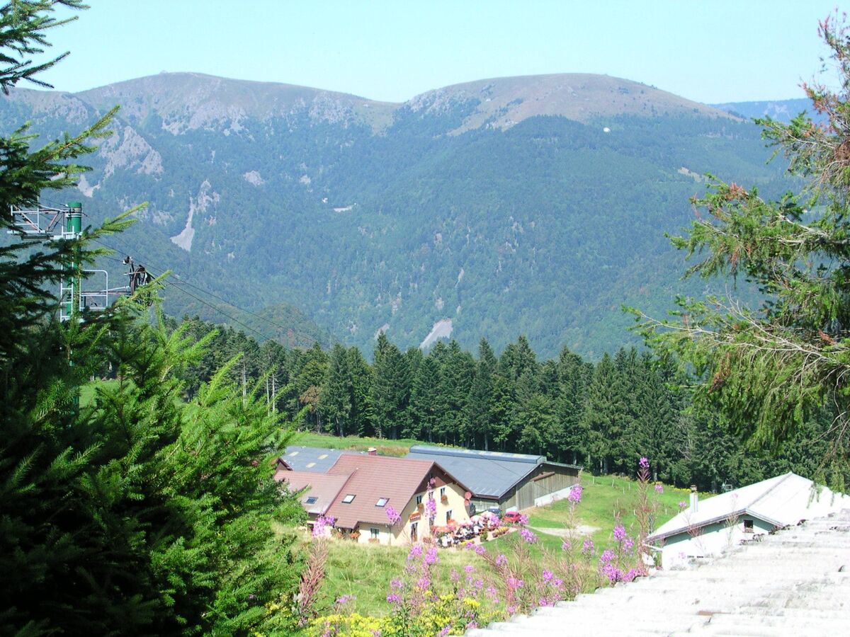 Maison 4 pers. Sondernach, vue vallée Munster - Photo 13