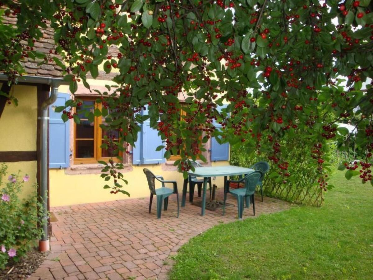 Gîte Sonneblüem un Pfefferminz - Maison alsacienne à Horbourg-Wihr - Photo 2