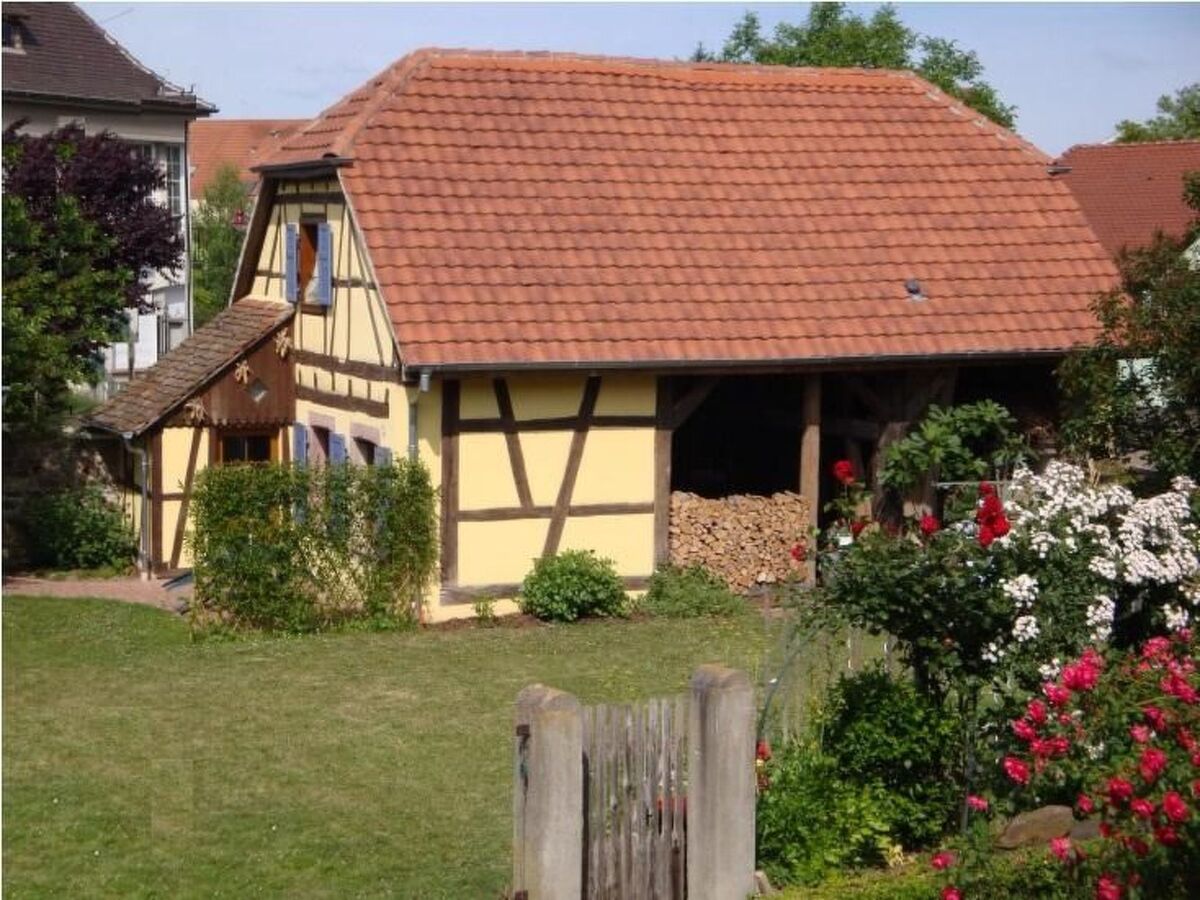 Gîte Sonneblüem un Pfefferminz - Maison alsacienne à Horbourg-Wihr - Photo 3