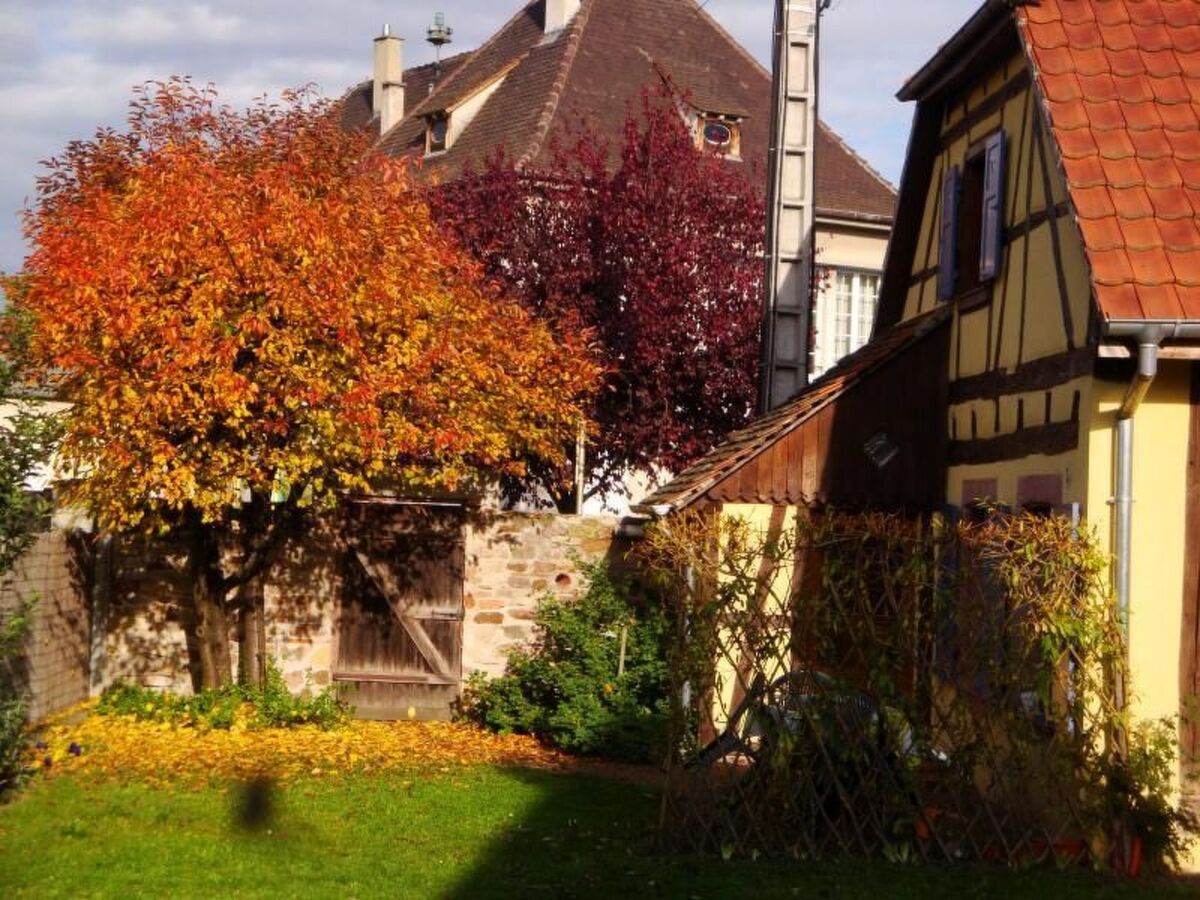 Gîte Sonneblüem un Pfefferminz - Maison alsacienne à Horbourg-Wihr - Photo 4