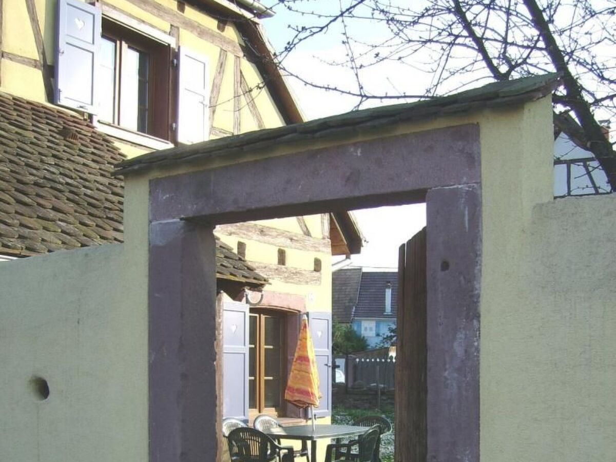Gîte Sonneblüem un Pfefferminz - Maison alsacienne à Horbourg-Wihr - Photo 15