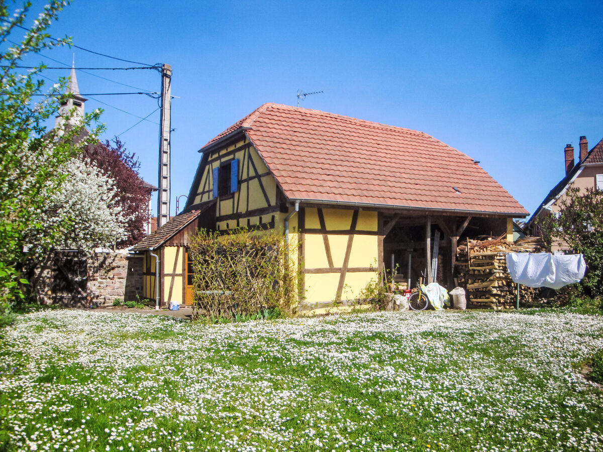 Gîte Sonneblüem un Pfefferminz - Maison alsacienne à Horbourg-Wihr - Photo 18