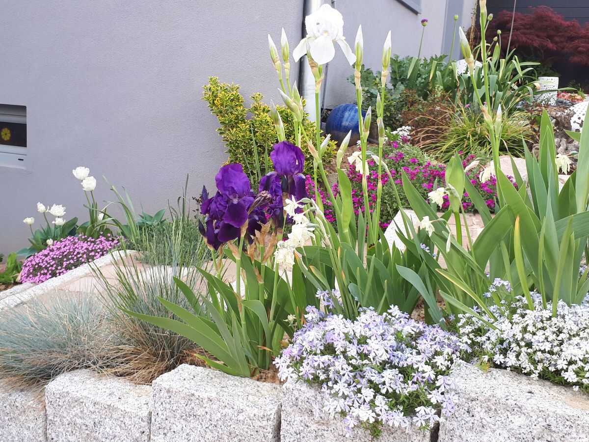 Terre d'Hélène : appartement avec jardin à Berstett - Photo 19