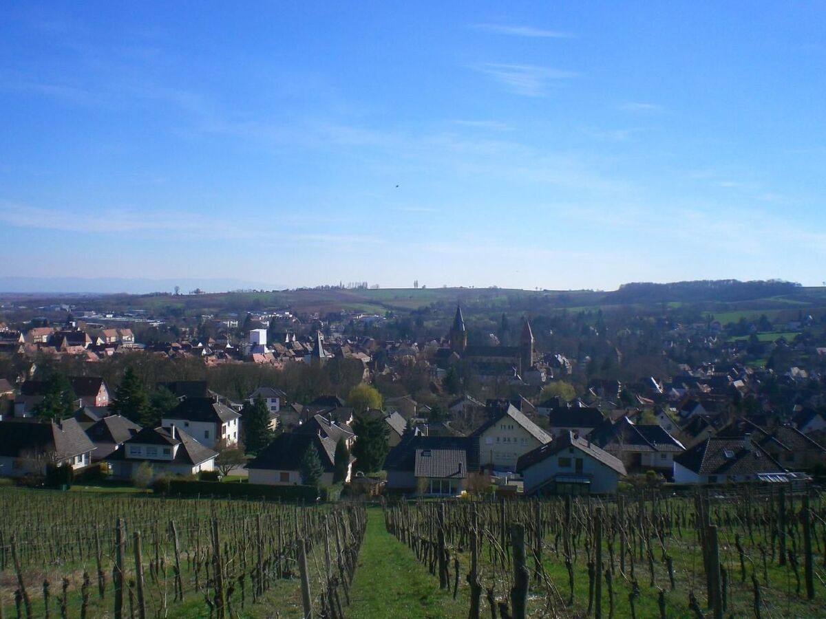 Maison Le Château d'Eau à Wissembourg, vue Vosges du Nord - Photo 23
