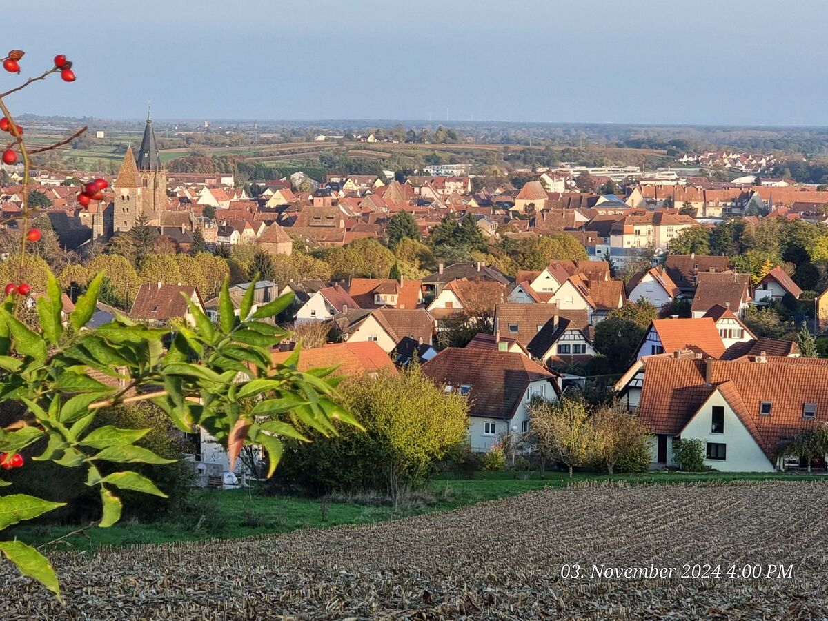Maison Le Château d'Eau à Wissembourg, vue Vosges du Nord - Photo 28