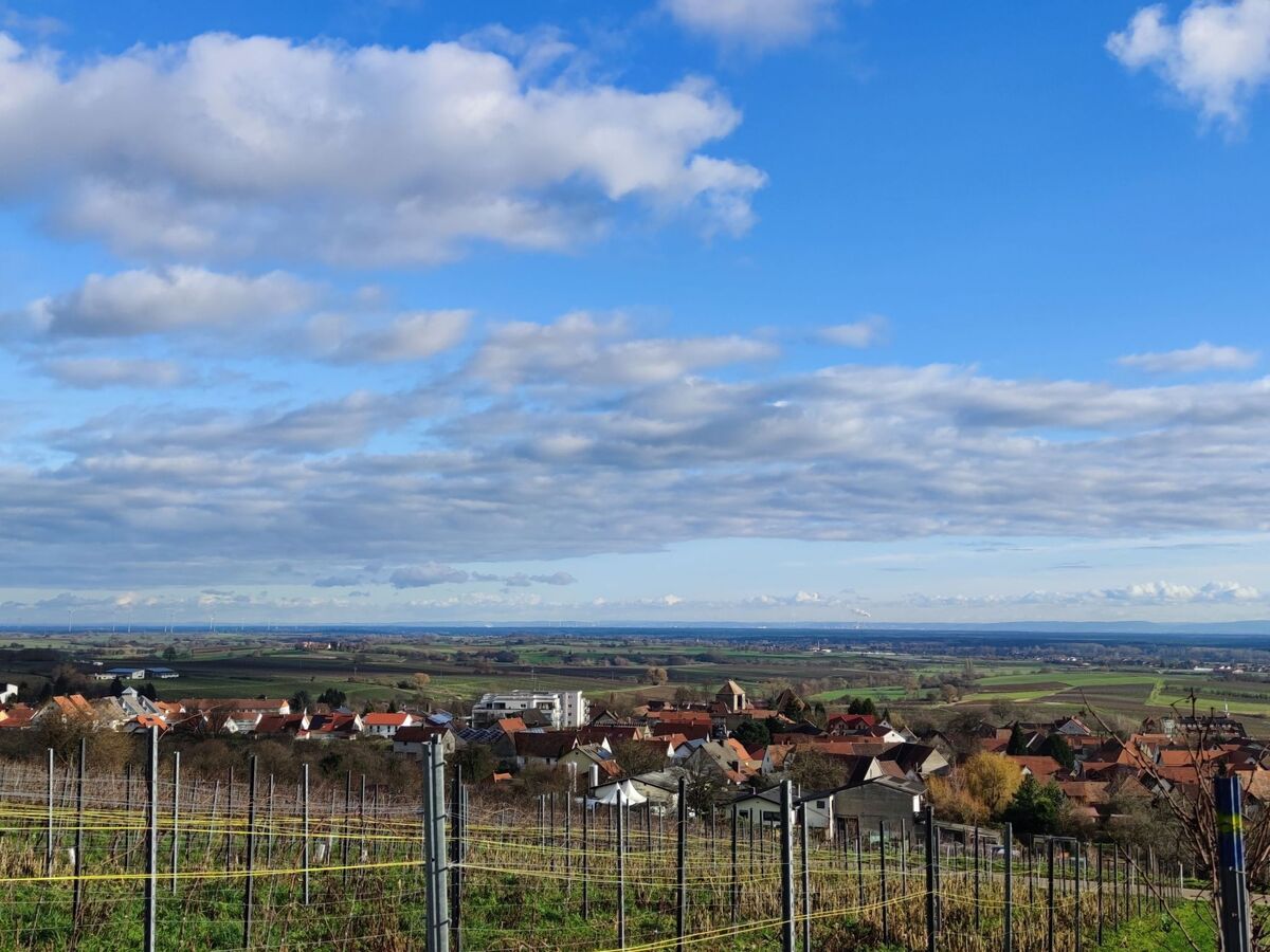 Maison Le Château d'Eau à Wissembourg, vue Vosges du Nord - Photo 30