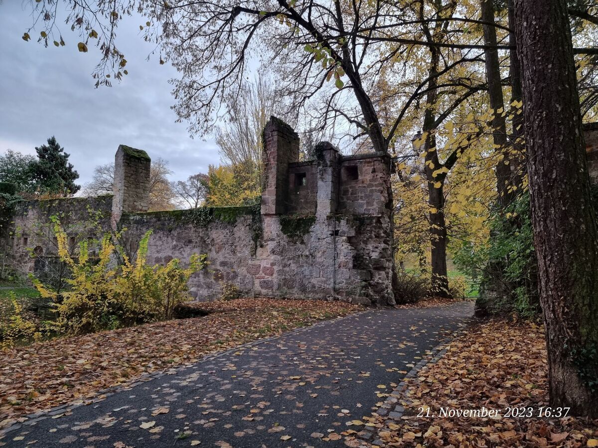 Maison Le Château d'Eau à Wissembourg, vue Vosges du Nord - Photo 32