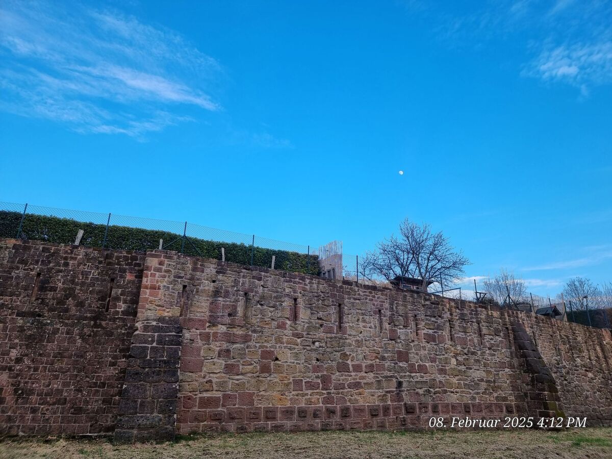Maison Le Château d'Eau à Wissembourg, vue Vosges du Nord - Photo 33