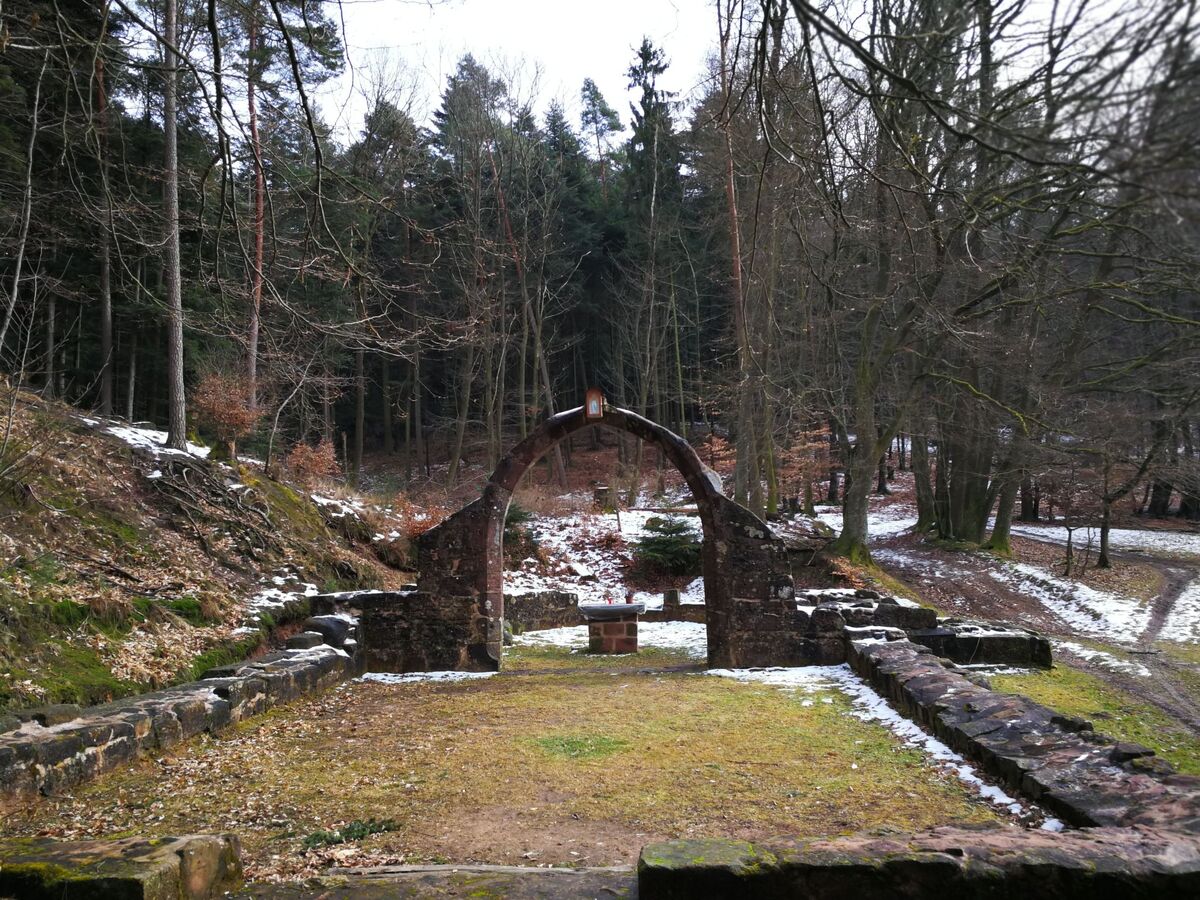 Maison Le Château d'Eau à Wissembourg, vue Vosges du Nord - Photo 38
