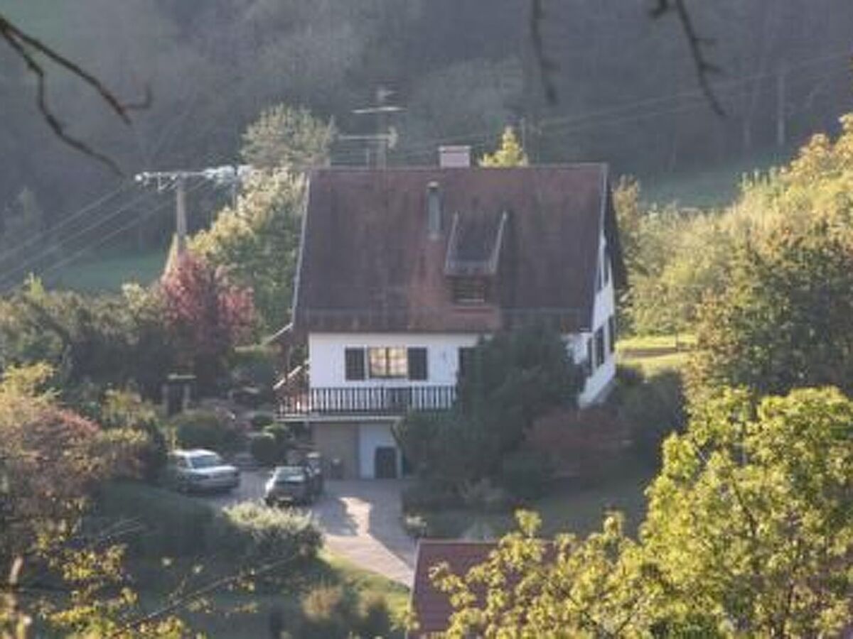 Maison 3 chambres avec grand jardin à Breitenbach - Photo 3