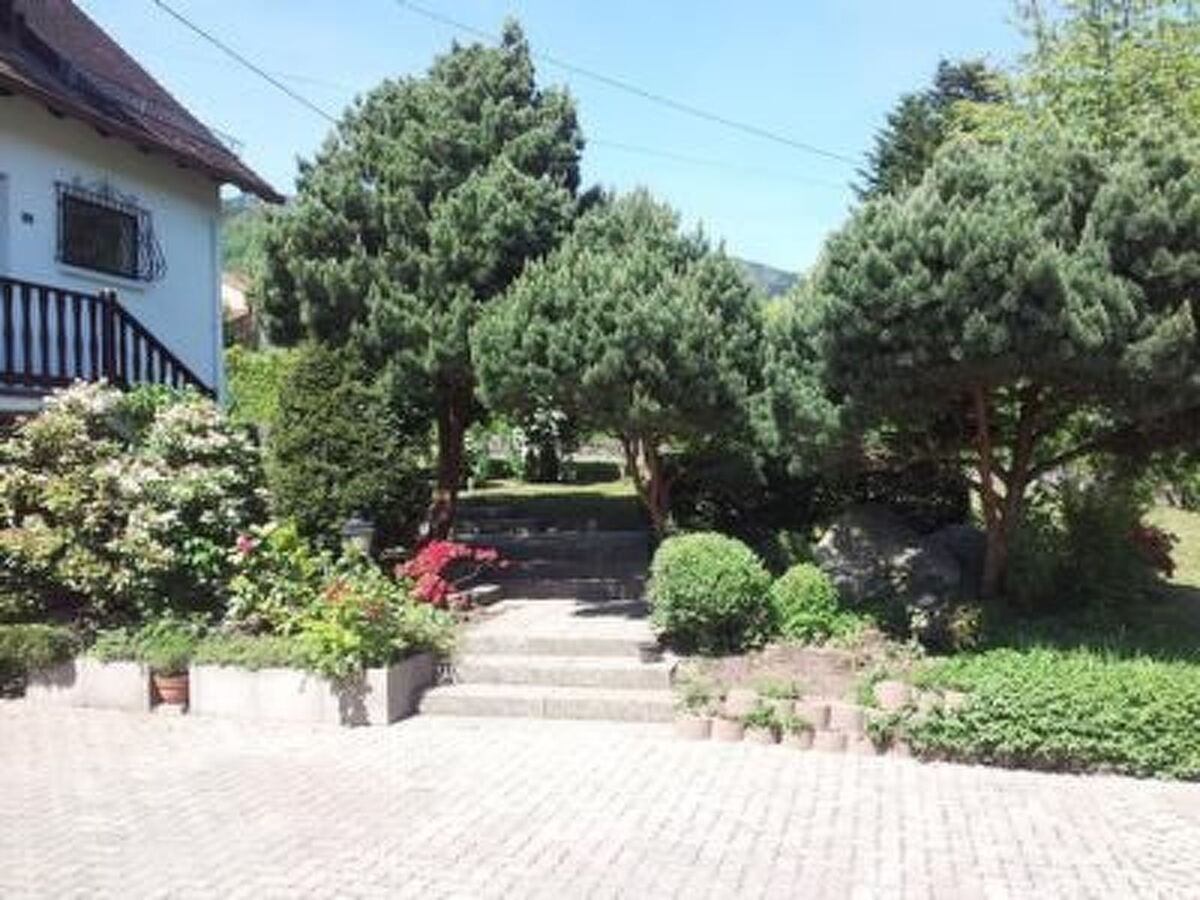 Maison 3 chambres avec grand jardin à Breitenbach - Photo 5
