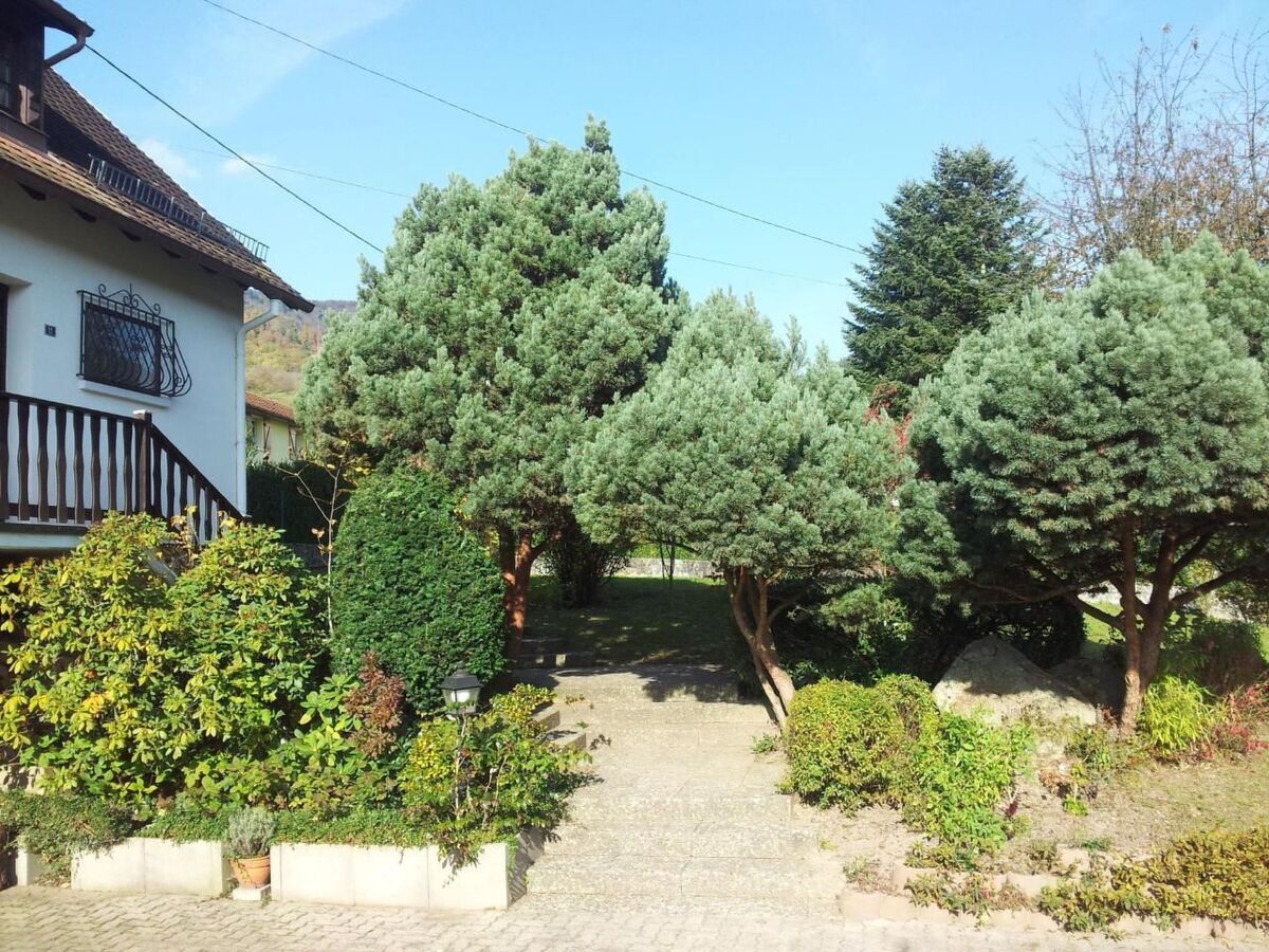 Maison 3 chambres avec grand jardin à Breitenbach - Photo 30