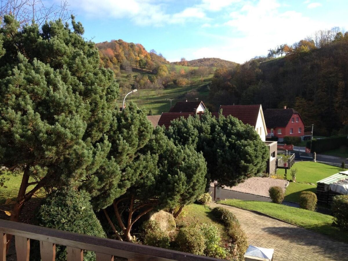 Maison 3 chambres avec grand jardin à Breitenbach - Photo 31