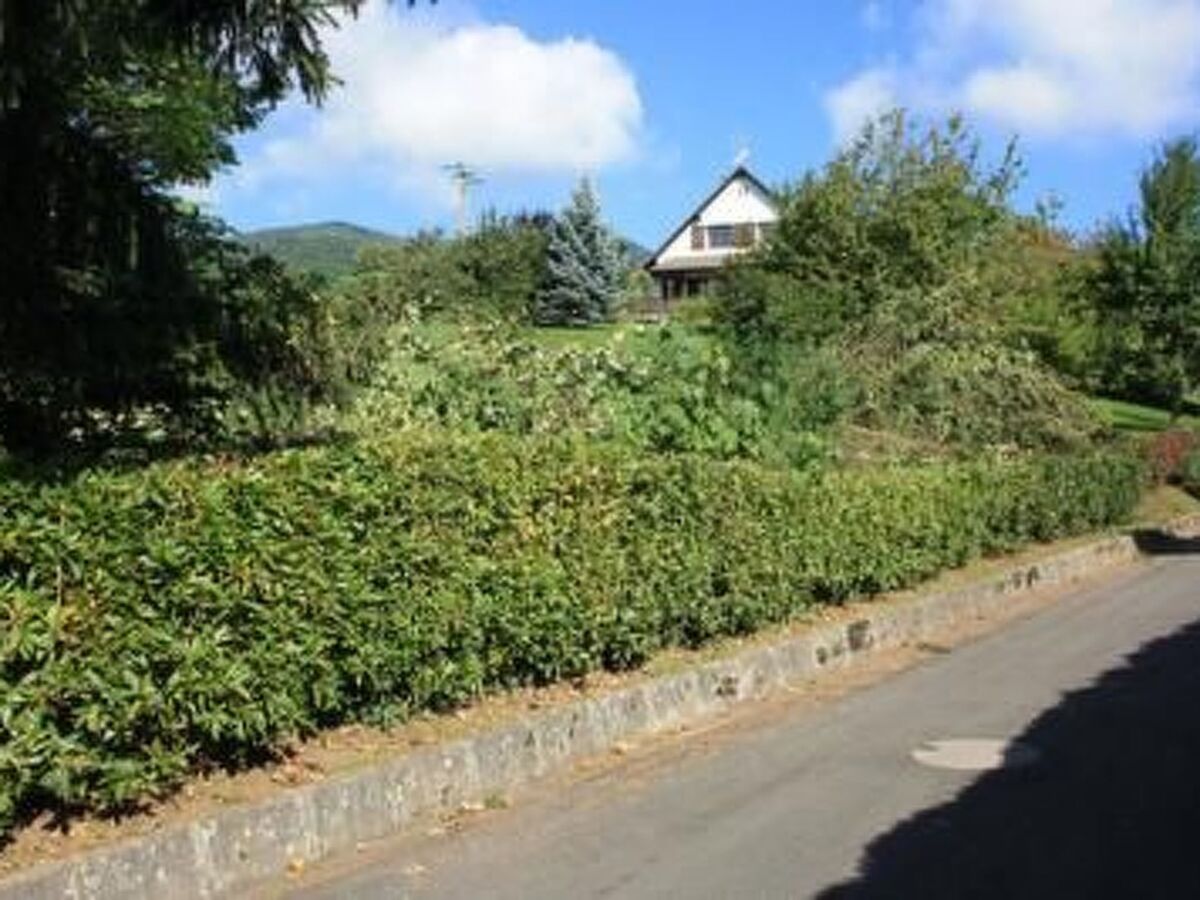Maison 3 chambres avec grand jardin à Breitenbach - Photo 32