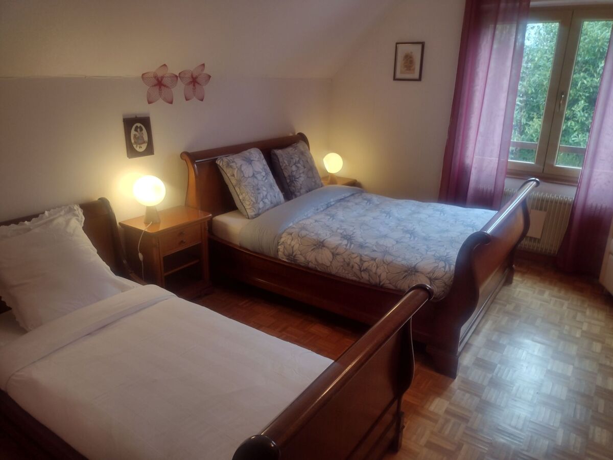 Maison 3 chambres avec grand jardin à Breitenbach - Photo 45