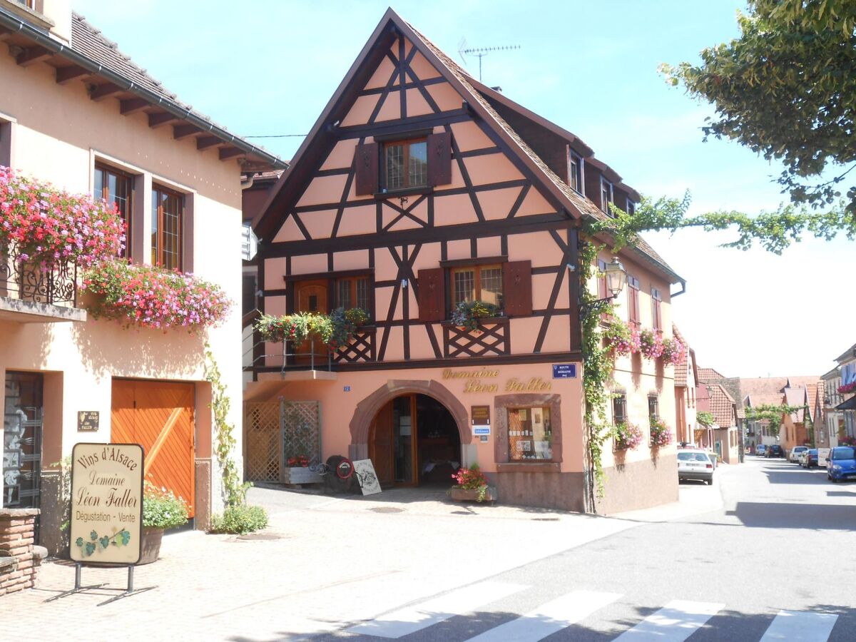 Gîte Ungersberg, 6 pers, 3 chambres à Itterswiller - Photo 20