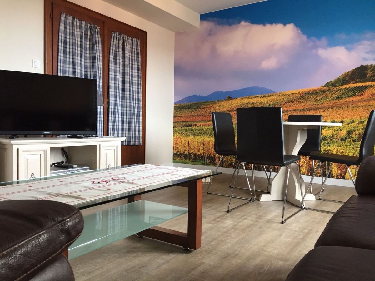 Appartement 3 chambres Route des Vins à Barr - Photo 5