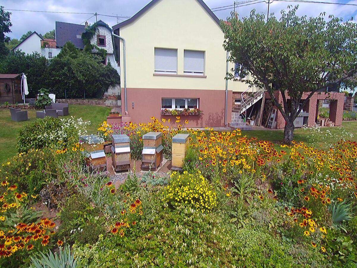 Appartement Wohnung du Coucou à Lichtenberg - Photo 15