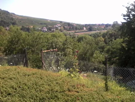 Maison spa et piscine à Marlenheim, village viticole alsacien - Photo 12