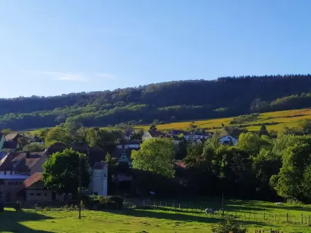 Maison spa et piscine à Marlenheim, village viticole alsacien - Photo 25