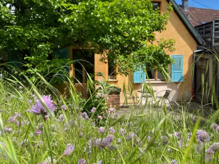 Location appartement à Katzenthal, Maisonnette mit Garten