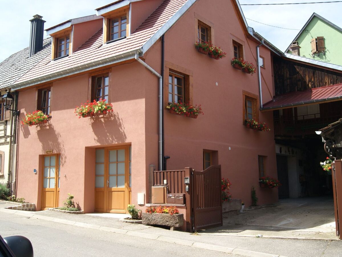 Le Divin Gîte, maison 10 pers. rénovée à Hunawihr - Photo 36