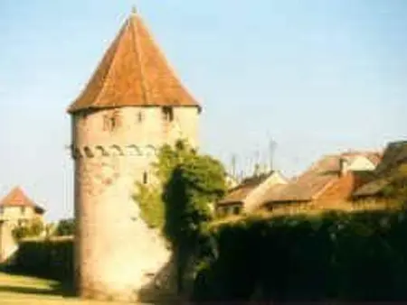 Studio 35 m² Route du Vin à Bergheim : photo 14