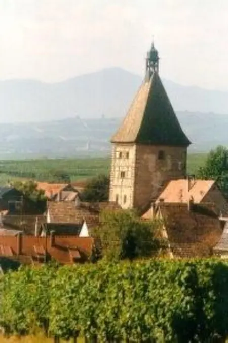 Studio 35 m² Route du Vin à Bergheim : photo 15