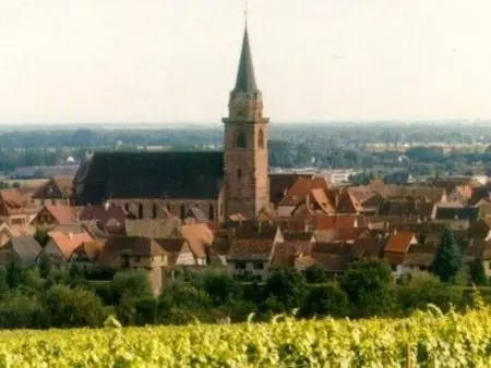Studio 35 m² Route du Vin à Bergheim : photo 17