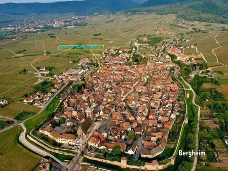 Studio 35 m² Route du Vin à Bergheim : photo 18