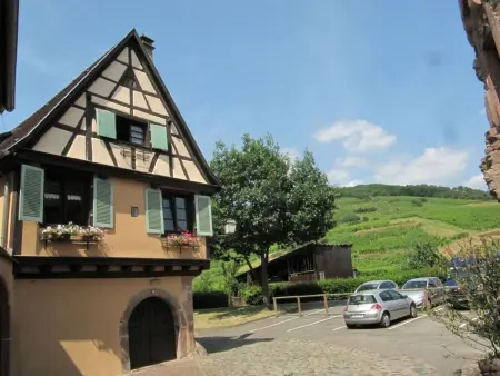 Maison XVI° siècle à colombages, 8 pers., Ammerschwihr - Photo 27
