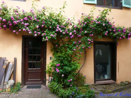 Maison XVI° siècle à colombages, 8 pers., Ammerschwihr - Photo 31
