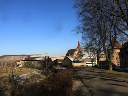 Maison XVI° siècle à colombages, 8 pers., Ammerschwihr - Photo 32