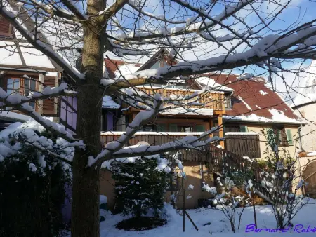 Maison XVI° siècle à colombages, 8 pers., Ammerschwihr - Photo 39