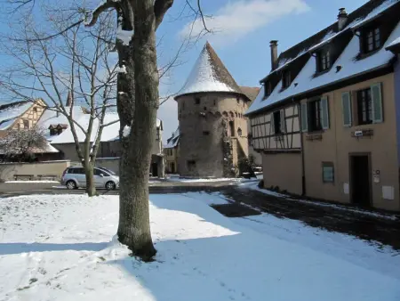 Appartement 74m² Ammerschwihr, terrasse sud, cœur vignoble - Photo 1