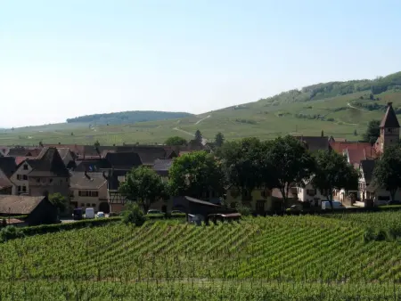Appartement 74m² Ammerschwihr, terrasse sud, cœur vignoble - Photo 16