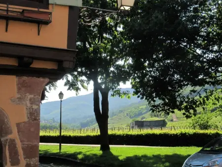 Appartement 74m² Ammerschwihr, terrasse sud, cœur vignoble - Photo 23
