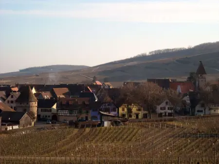 Appartement 74m² Ammerschwihr, terrasse sud, cœur vignoble - Photo 24