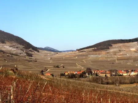Appartement 74m² Ammerschwihr, terrasse sud, cœur vignoble - Photo 25