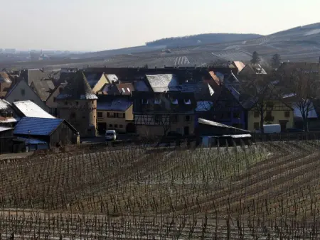 Appartement 74m² Ammerschwihr, terrasse sud, cœur vignoble - Photo 26