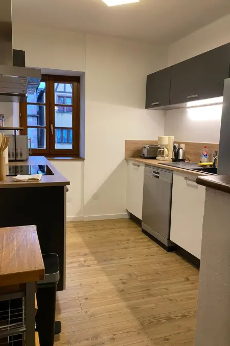 Bugatti in Riquewihr – Appartement 4 pers. au cœur du village : photo 10