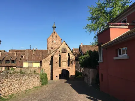 Bartholdi in Reichenweier – Appartement 16e siècle : photo 30