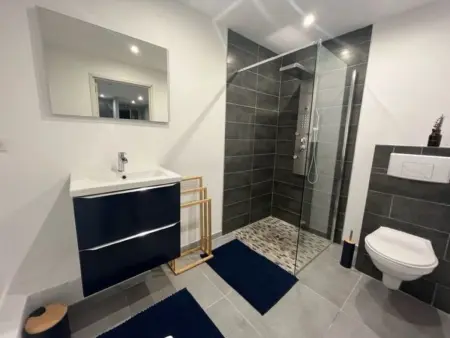 Appartement cosy à Oberhergheim, 4 min de Colmar : photo 5