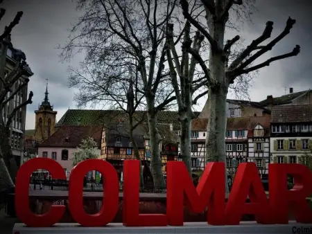 Appartement cosy à Oberhergheim, 4 min de Colmar : photo 17