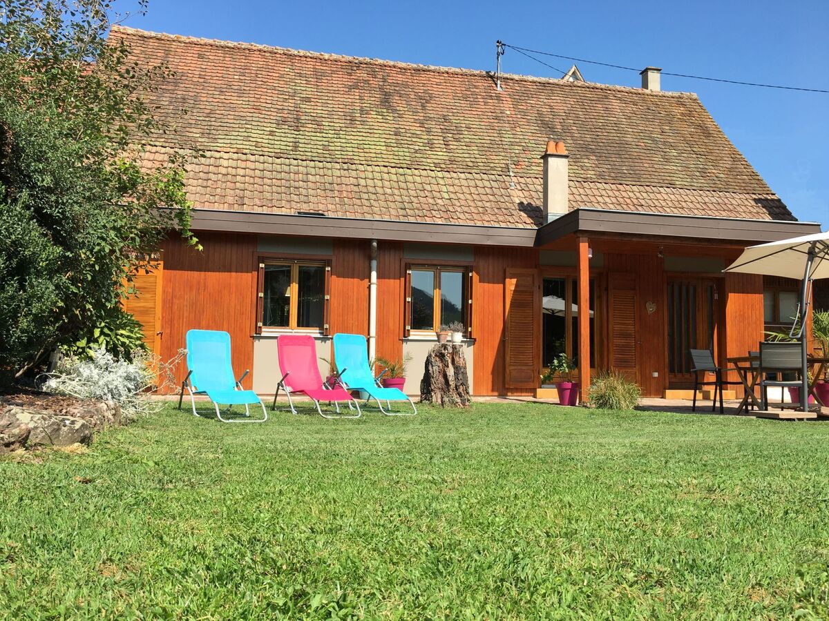 Gîte indépendant Soultzmatt, jardin 300m² sud - Photo 2