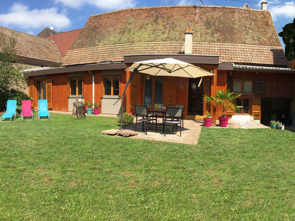 Gîte indépendant Soultzmatt, jardin 300m² sud - Photo 3