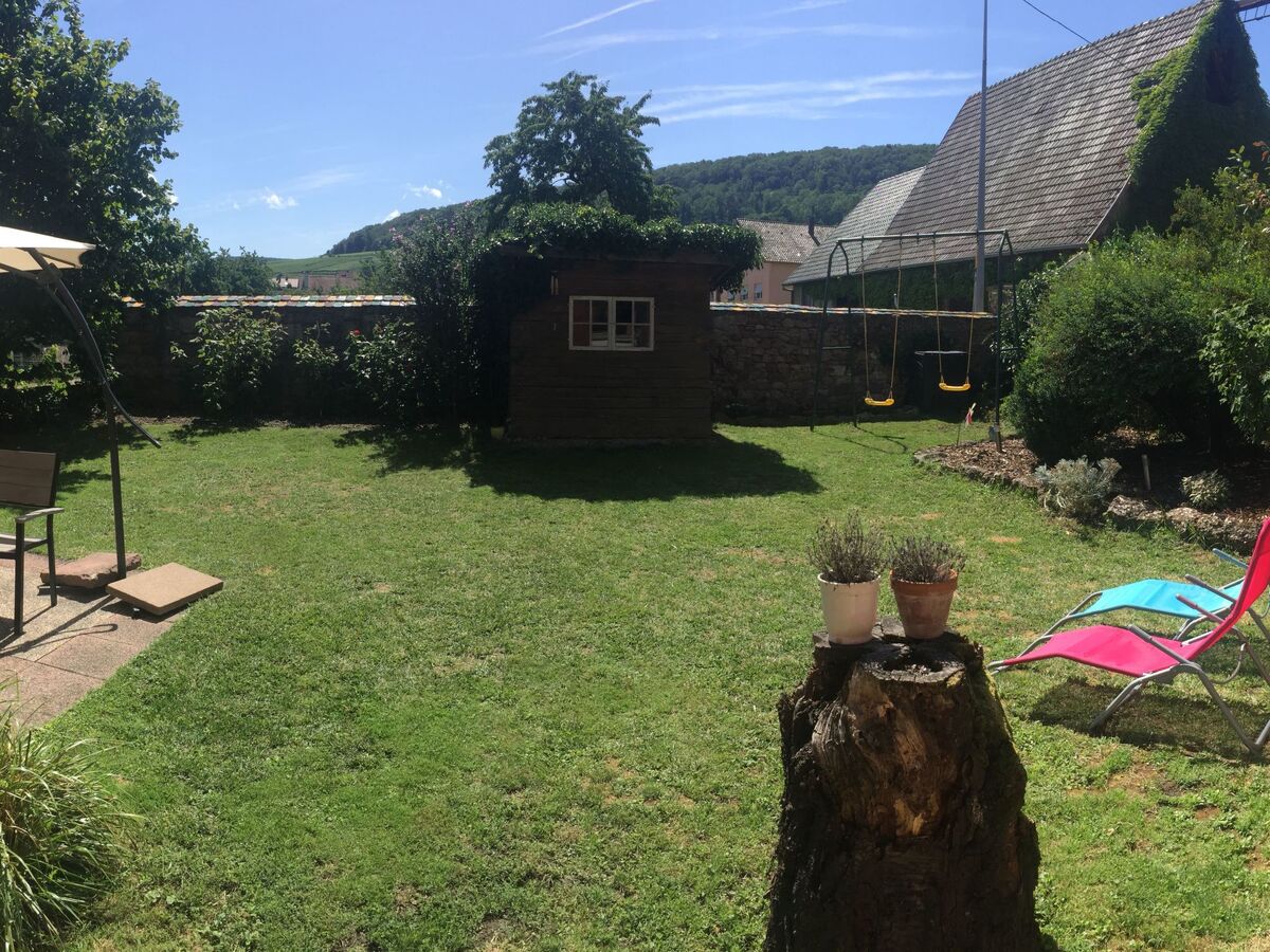 Gîte indépendant Soultzmatt, jardin 300m² sud - Photo 5